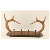 Image 1 : Antler Coat Rack