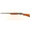 Image 2 : Remington 1100 12 Ga SN: 503316V