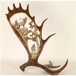Beautiful Moose Antler Decorator