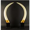 Image 1 : Pair of Faux Tusks