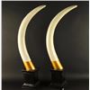 Image 2 : Pair of Faux Tusks