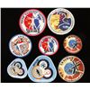 Image 1 : Lot of 8 NASA Gemini & Skylab Patches