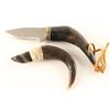 Image 2 : Lot of 2 Horn Handled Knives