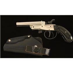 Rossi Garrucha .22 LR SN: 304405