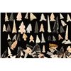 Image 2 : Large Arrowhead Collection