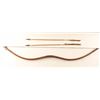 Image 2 : Native American Type Bow & Arrows