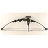 Image 2 : Hoyt/Easton Compound Bow