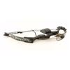 Image 2 : Browning Compound Bow