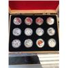 Image 3 : 2013 CANADA $10 FINE SILVER COIN SET OF 12 COINS IN CASE!.999
