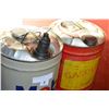 Image 2 : TWO METAL GAS CANS