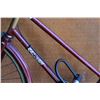 Image 2 : RED RALEIGH MOUNTAIN BIKE