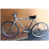 Image 1 : GREY GIANT BIKE