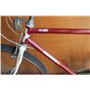 Image 2 : RED AND WHITE VAGABOND MOUNTAIN BIKE