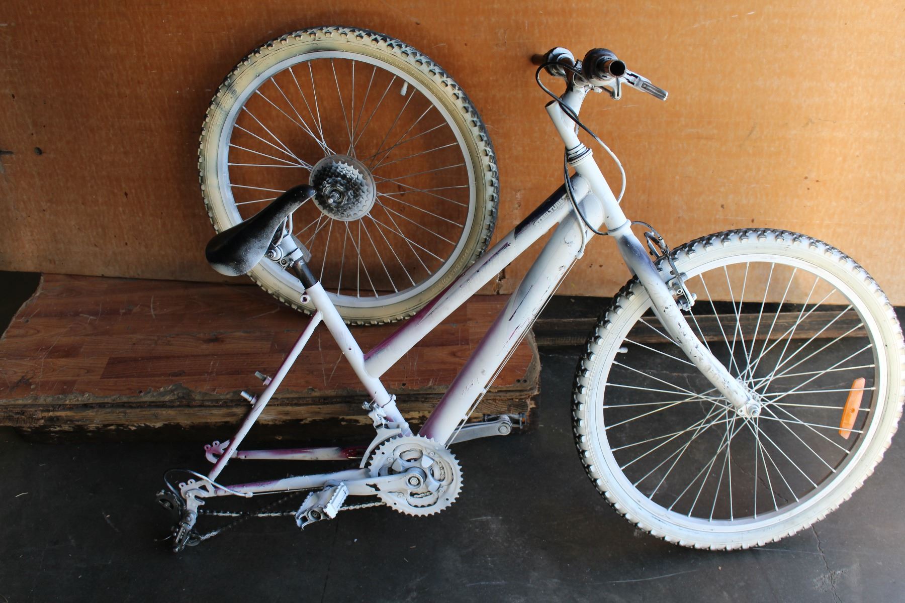 Spray Paint White No Brand Bike