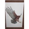 Image 2 : RED TAILED HAWK BY LUKE RAFFIN 23888