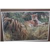 Image 2 : MONSOON WHITE TIGER BY JOHN SEEREY LESTER 24542