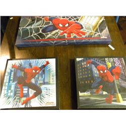 3 Piece Spiderman Collection