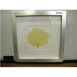 Silver Framed picture