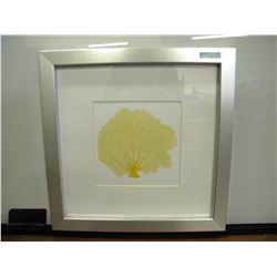 Silver Framed picture