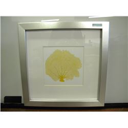 Silver Framed picture