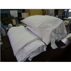 Twin Matress Cover and 2 Pillows