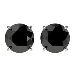 2 CTW Fancy Black VS Diamond Solitaire Stud Earrings 10K White Gold - REF-49M6F - 33083