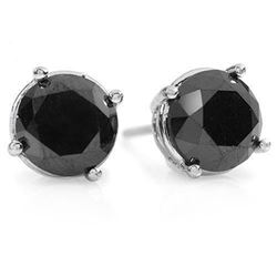 3.0 CTW Vs Certified Black Diamond Solitaire Stud Earrings 14K White Gold - REF-75M6F - 14153