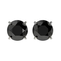 1.50 CTW Fancy Black VS Diamond Solitaire Stud Earrings 10K White Gold - REF-42T8X - 33072