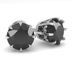 3.0 CTW Black Diamond Stud Solitaire Earrings 18K White Gold - REF-100W2H - 35703