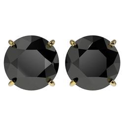 4.19 CTW Fancy Black VS Diamond Solitaire Stud Earrings 10K Yellow Gold - REF-100W2H - 36713