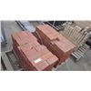 Image 1 : INCA RED PAVERS 348 PCS