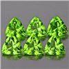Image 1 : Natural Green Peridot 5.00 MM - VVS