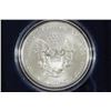 Image 2 : 2013-W AMERICAN SILVER EAGLE UNC