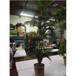 6' Palm Tree