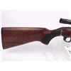 Image 5 : Winchester 22 Semi
