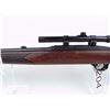 Image 7 : Winchester 22 Semi