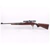 Image 9 : Winchester 22 Semi