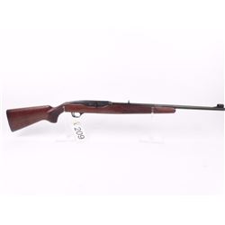 Winchester Auto 22 Plinker
