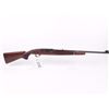 Image 1 : Winchester Auto 22 Plinker