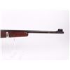 Image 3 : Winchester Auto 22 Plinker