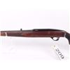 Image 7 : Winchester Auto 22 Plinker