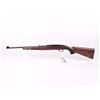 Image 9 : Winchester Auto 22 Plinker
