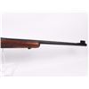 Image 3 : Big Dog 375 H&H Magnum