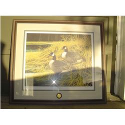limited edition ducks unlimited print , geese by Patrice Wolput