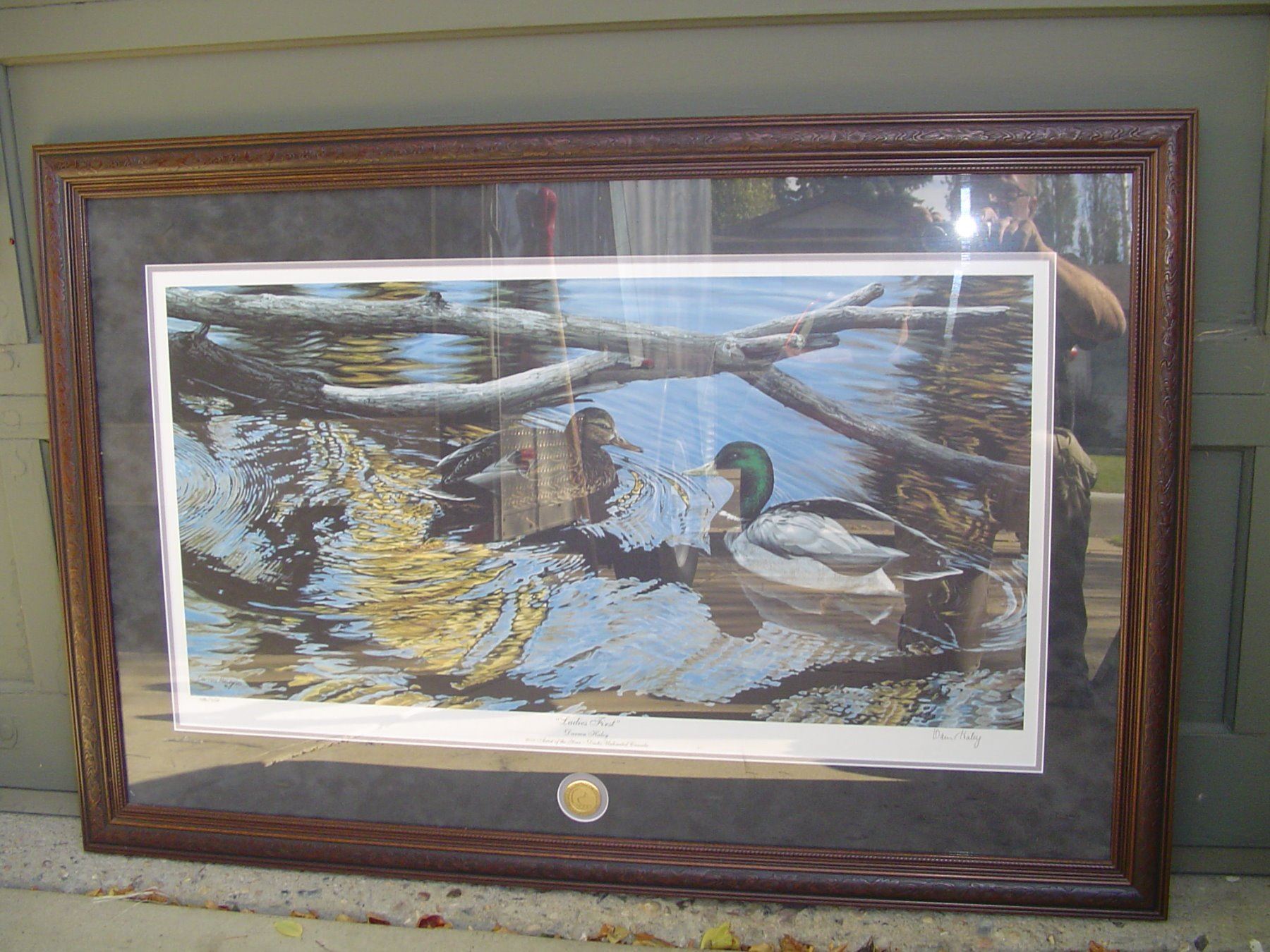 limited edition ducks unlimited print ,ducks by Darren Haley