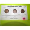Image 1 : Canadian large cents 1916, 1918 and 1919