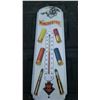 Image 1 : Winchester Thermometer 17"
