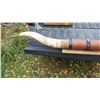 Image 2 : Huge Pair of Texas Longhorns 6'6" Long