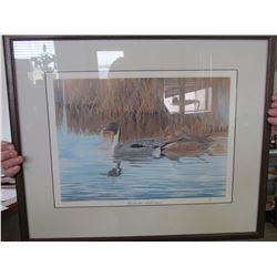 Ducks unlimited framed art 111/1850"Backwards Reflections" by Dave Hiebert 1991