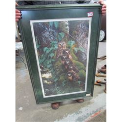 "Owl" Large framed picture Ducks Unlimited by Carl Brenders 3390/3500